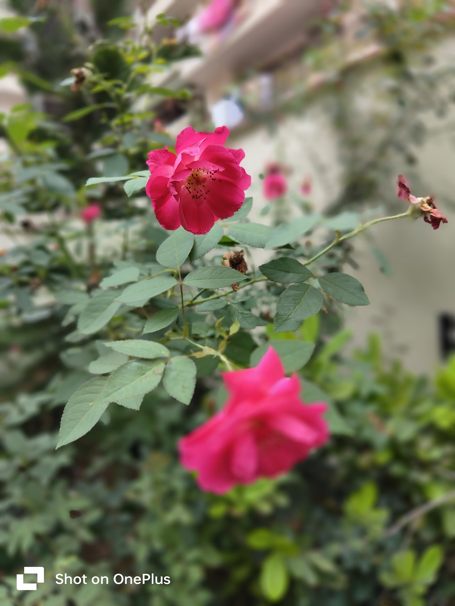 IMG20230728170222