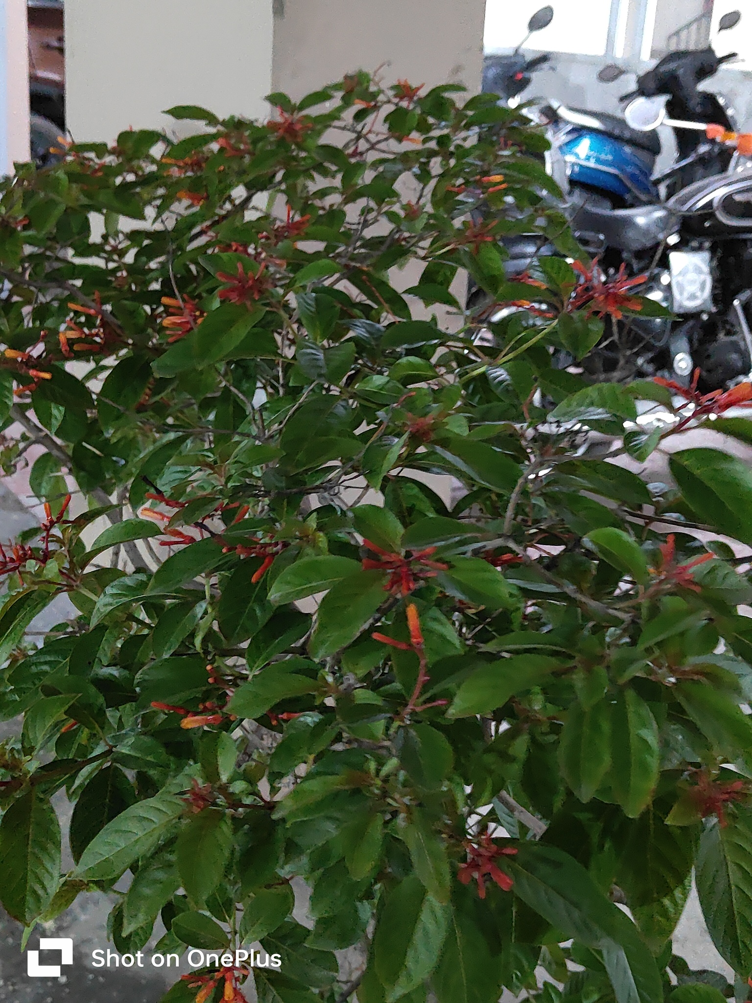 IMG20230729194144