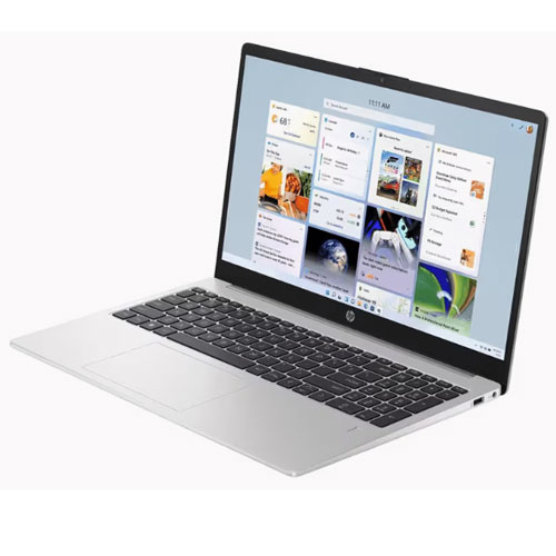 HP 255 G10 (B15HZPT) Laptop