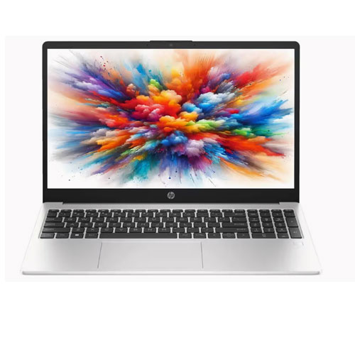 HP 255 G10 (BJ3P9PT-1) Laptop